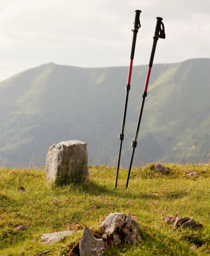 등산 스틱 선택 기준