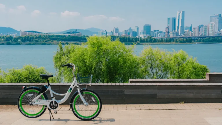 공유 자전거 따릉이가 한강에 서있는 모습