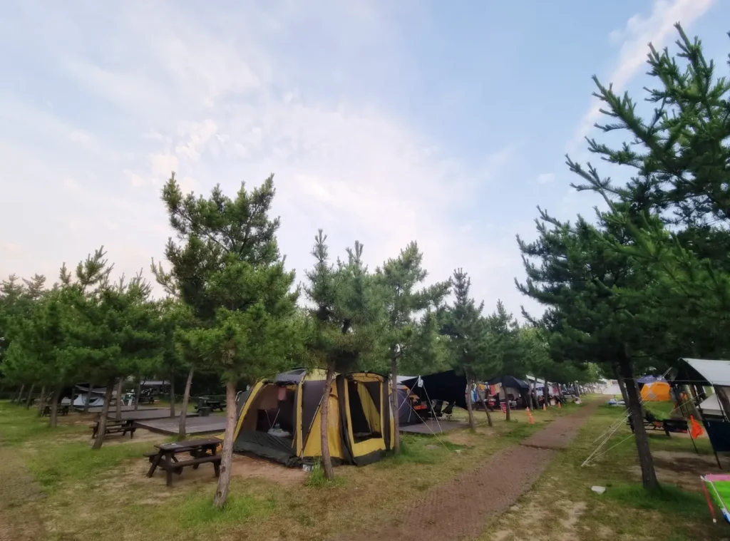 망상 제2오토캠핑장의 잔디와 나무데크 사이트