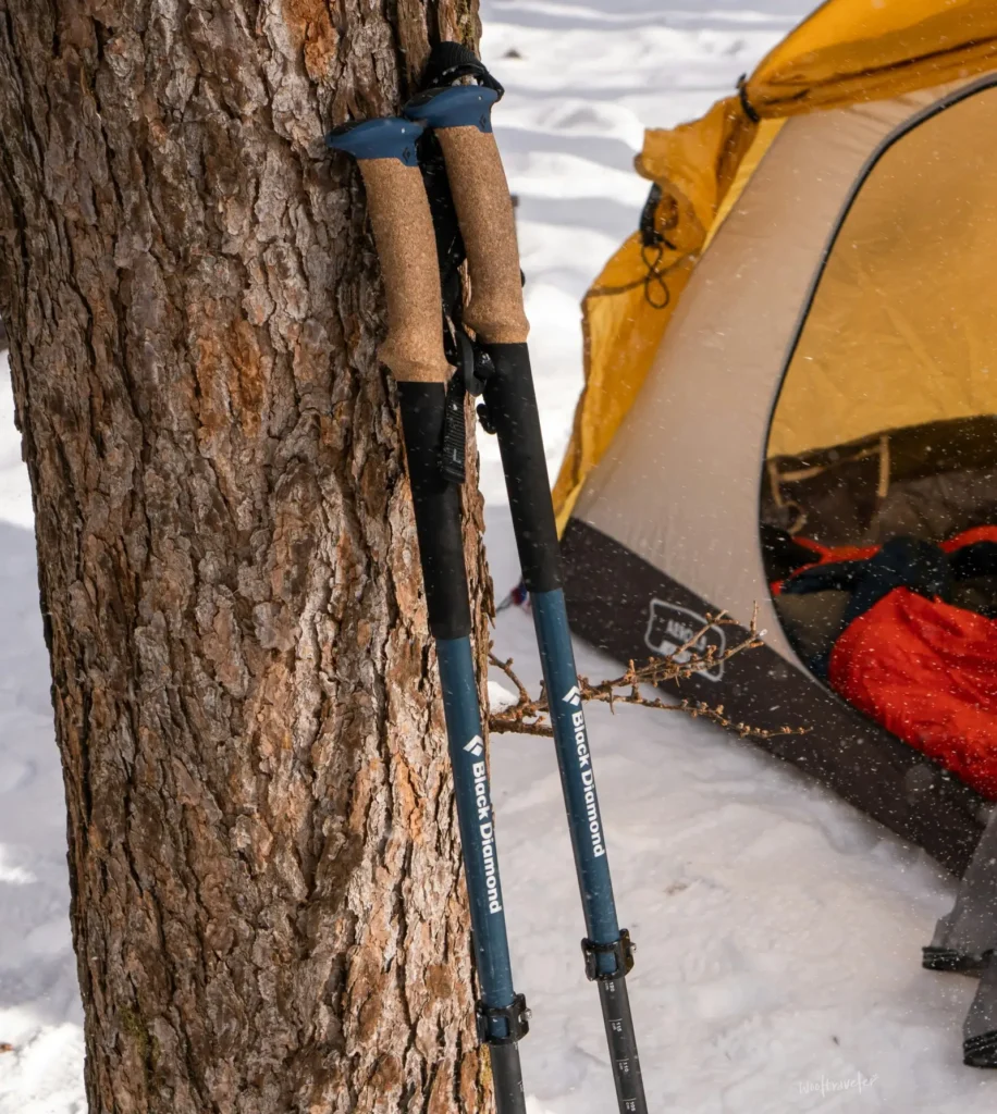 등산 스틱 브랜드