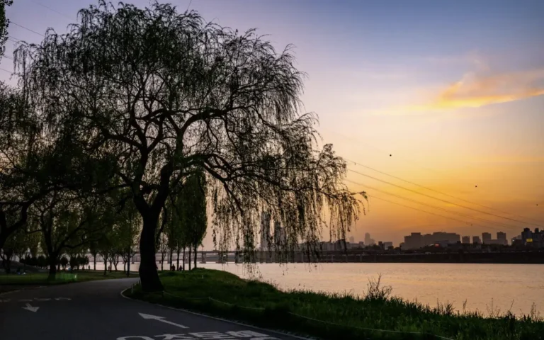 잠원 한강공원 자전거길